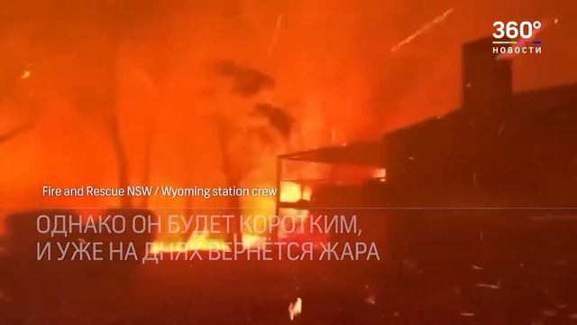 Люди спасают коал и кенгуру от лесных пожаров в Австралии смотреть онлайн