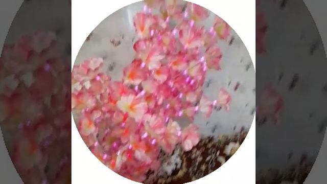 1000030103.mp4 смотреть онлайн