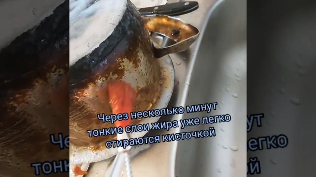 Жир отмыть легко? Ваши кастрюли, плита и духовка будут блистать? Средство с кисточкой от Amway? смотреть онлайн