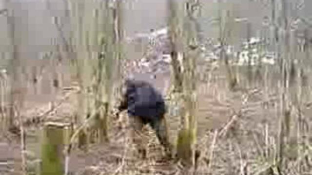 dfh смотреть онлайн