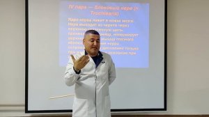 Черепные нервы.Топография черепных нервов.Черепно-мозговые нервы часть 1