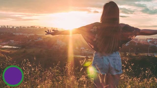 Сын женился. Его жена на месте огорода разбила цветник. А между нашими участками появился забор смотреть онлайн