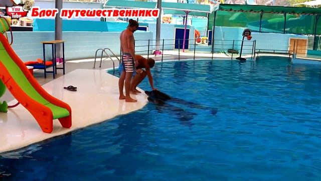 Плавание с дельфинами в Турции ? – дельфинарий и аквапарк DoluSu в Кемере. Влог из Турции смотреть онлайн