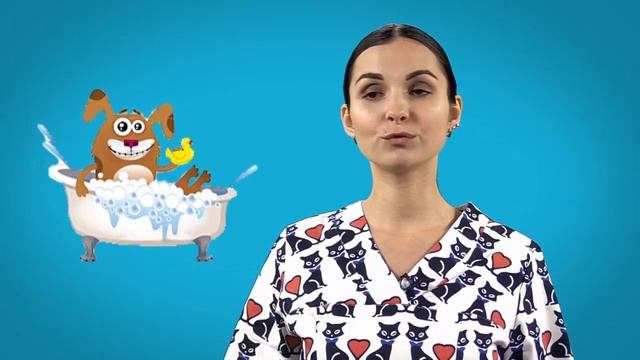 Нужно ли купать собаку (кошку?) смотреть онлайн