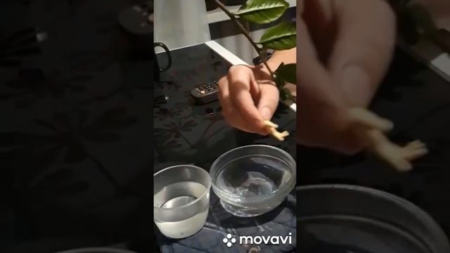 пальцы кистей смотреть онлайн