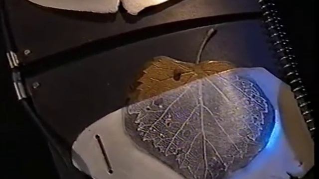 Ювелиры Геннадий и Наталья Быковы (из программы мода на всё) смотреть онлайн