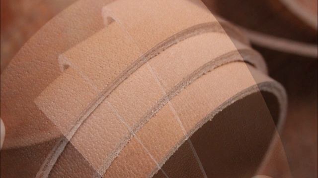 Бразильский чёрный бык Brung и азиатский буйвол Тан !!! смотреть онлайн