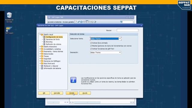 ¿Cómo cambiar la interfaz visual de SAP GUI? - SEPPAT Tips смотреть онлайн