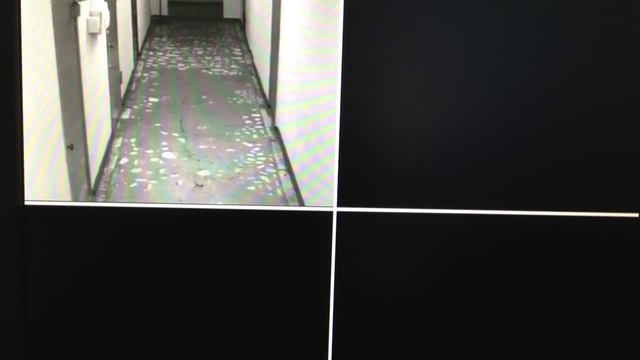 Как сохранить видео на USB флешку в регистраторе REC-1004 смотреть онлайн