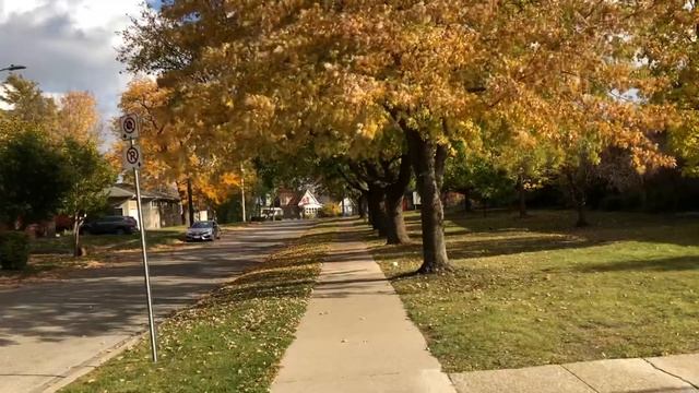 1 min walk Windsor Canada | Fall Colors | 2023 смотреть онлайн