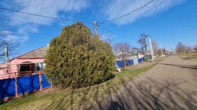 Краснодарский край, пос. Ильич. В этом году на удивление теплая зима. В январе +16, цветут розы! смотреть онлайн