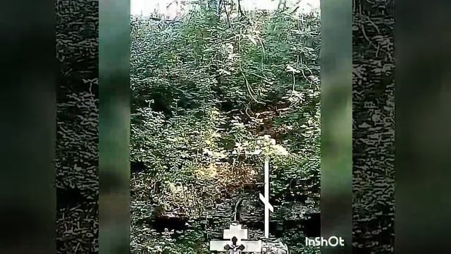 Южный лесопарк Ростова-на-Дону. Ботанический сад ЮФУ. #Ростов-на-Дону #Ботанический сад ЮФУ #велик смотреть онлайн