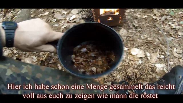 ?БУКОВЫЕ ОРЕШКИ В ПИЩУ? смотреть онлайн