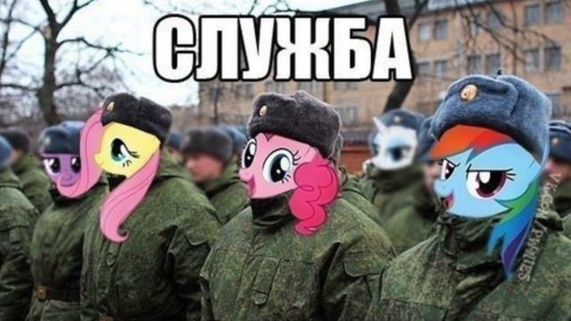 Меня ПРИЗВАЛИ! смотреть онлайн