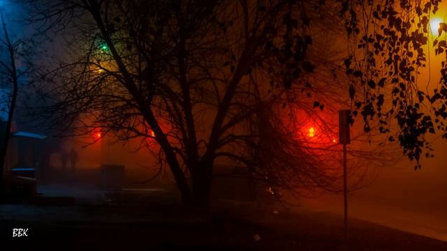 Светлана Тернова Максим Апрель - Ночной разговор (Авт. муз. клипа Виктор) смотреть онлайн