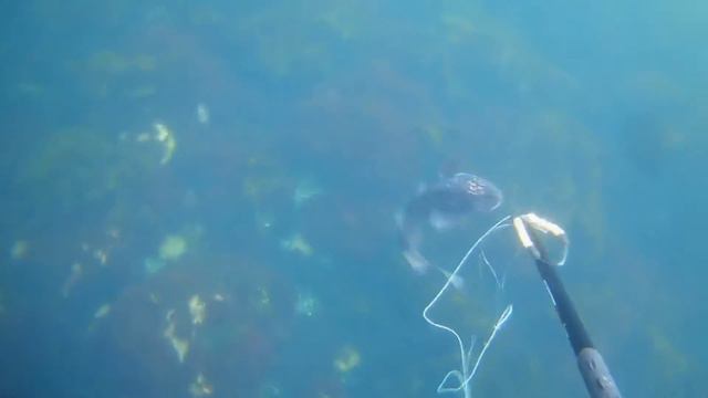 Треска смотреть онлайн