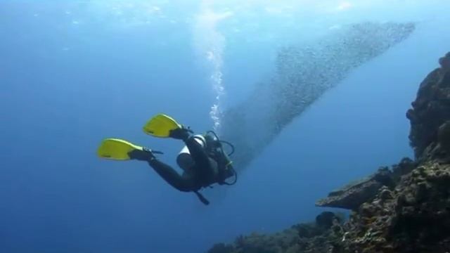 Sample Sanyo Xacti HD2000 Underwater Clips смотреть онлайн