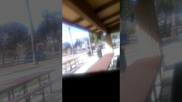 229310236 social security redding Oxnard смотреть онлайн