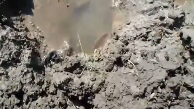 Уж в воде (Already In The Water)