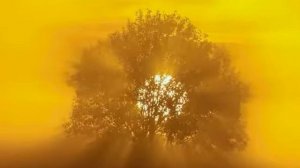 Защита на каждый день. Божья Мать позади, Господь Бог впереди...