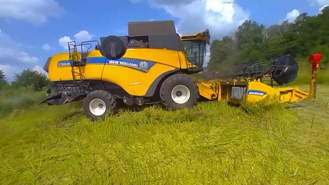 Не зерновий а силосний New Holland CX8.80.
