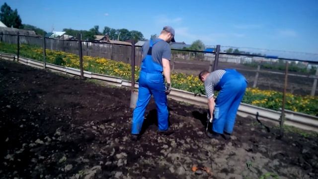 Посадка картофеля "под дрель" смотреть онлайн