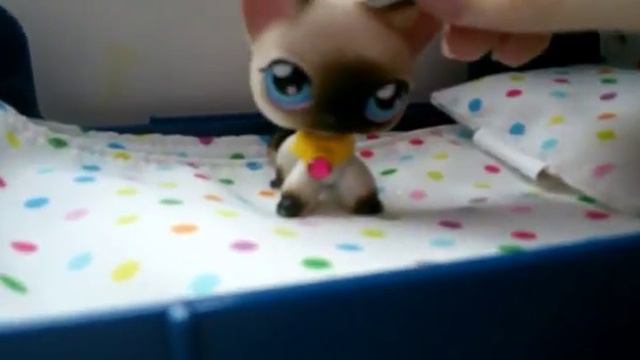 Я ЖИВ ! ПОЧЕМУ НЕ БЫЛО ВИДЕО !?!?!! смотреть онлайн