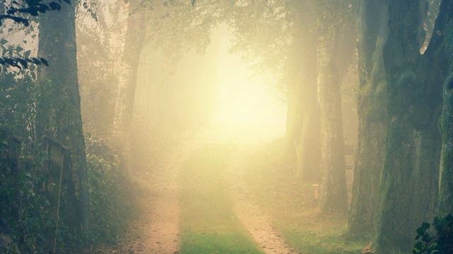 Пять шагов от рая. Рассказ. Мистика. Андрей Немоляев смотреть онлайн