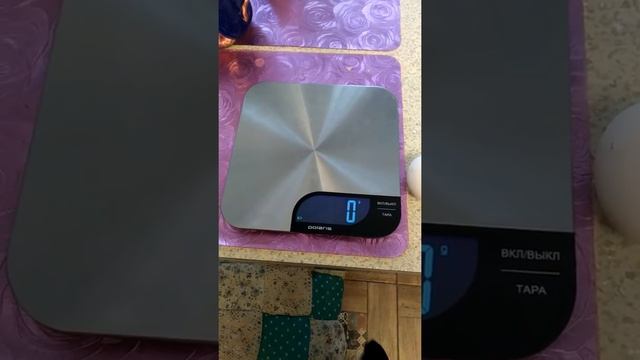 Яйцо курицы 120 грамм. смотреть онлайн