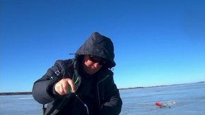 МЕГА РЕЦЕПТ! Жарим окуня прямо в чешуе!