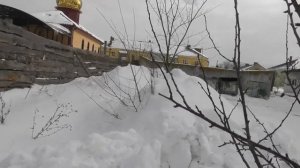 Как снег ломает саженец. Как защитить свои деревья