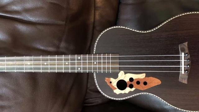 Top 10 Baritone Ukuleles : Best For Ever! смотреть онлайн