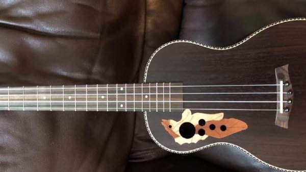 Top 10 Baritone Ukuleles : Best For Ever!