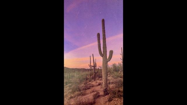 s l o w e d & r e v e r b // Desert Rose(Sting) смотреть онлайн