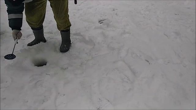 Новичкам везёт... Клёвое место, Лосиный остров, верхний водоём. смотреть онлайн