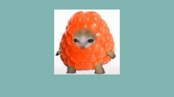 TATI - TATISIZE (speed up)