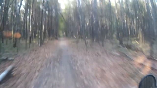 Мото wov1 - Осенний лес 2015 года смотреть онлайн