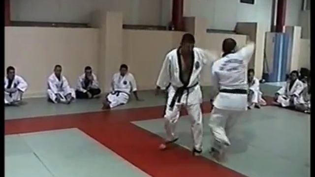 Hapkido-Rafael Balbastre (Vol-1) смотреть онлайн