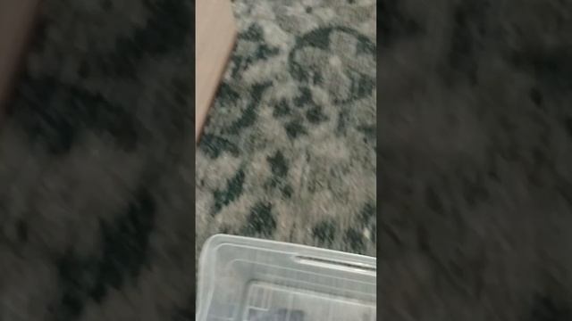 такси Максим в реале смотреть онлайн