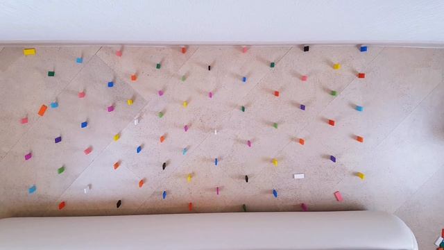 Полоса Препятствий Из Домино Челлендж! Как пройдут ее мои Питомцы? смотреть онлайн