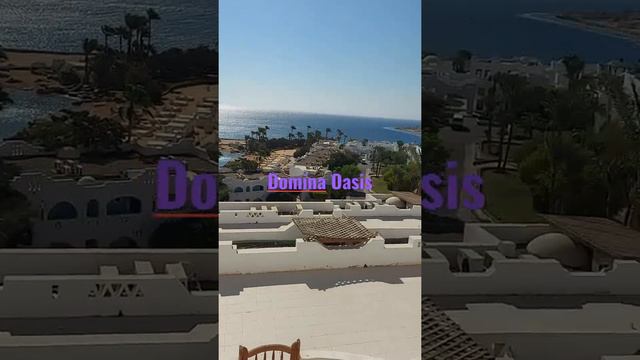 Вид из номера Domina Oasis смотреть онлайн