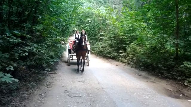 Карета на свадьбу. Фаэтон.Самара. смотреть онлайн