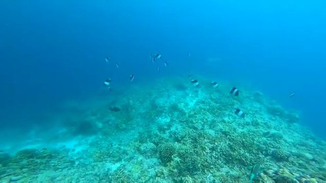 Мальдивские острова. Аравийское море, Индийский океан смотреть онлайн