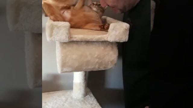 Клепа познает мир