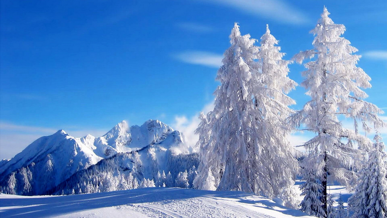 Снежный ноктюрн. – Ричард Клайдерман / Snow Nocturne. – Richard Clayderman • ВидеоКанал «exZotikA»