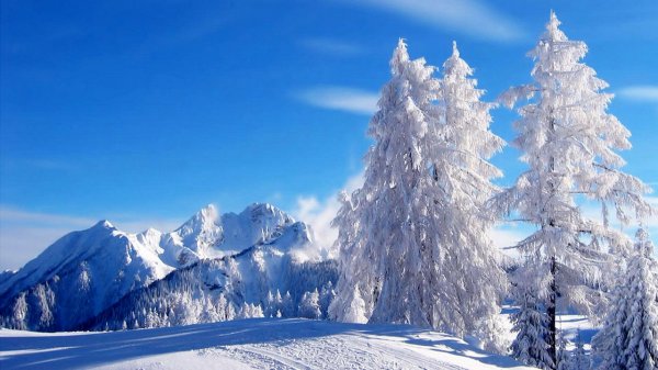 Снежный ноктюрн. – Ричард Клайдерман / Snow Nocturne. – Richard Clayderman • ВидеоКанал «exZotikA»