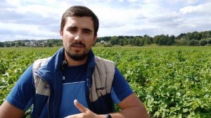 РЕВУС® ТОП на картофеле, Коломна