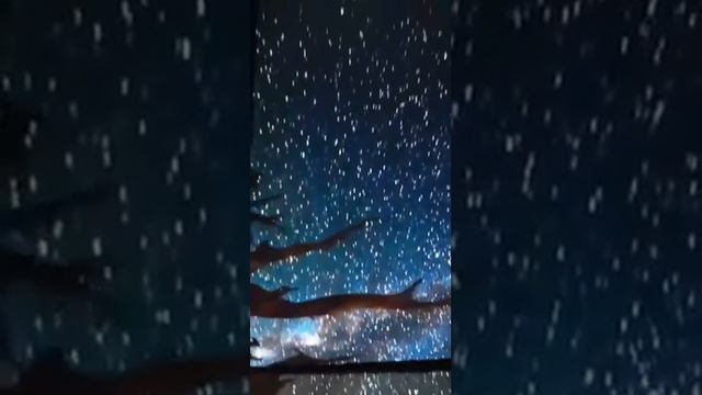 Лучшие сторис Клавдия Безверхова (@kmandelstam) подборка за день 🔥 2/18/2020 смотреть онлайн