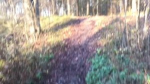 Мотороллер Муравей с двигателем от мотоблока от нашей команды.