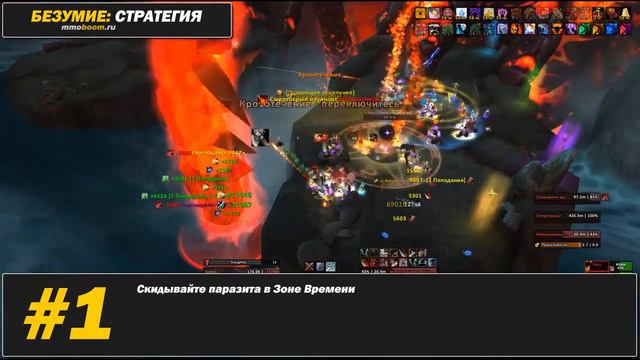 Безумие Смертокрыла (25 героик): гайд-тактика от MMOBoom.ru смотреть онлайн